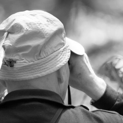 Bogenturnier in Niederhelfenschwil