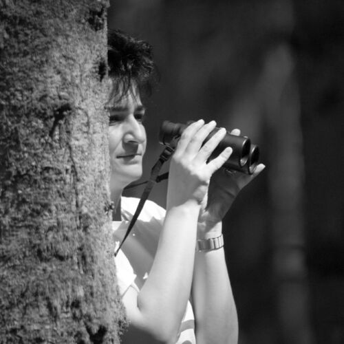 Bogenturnier in Niederhelfenschwil