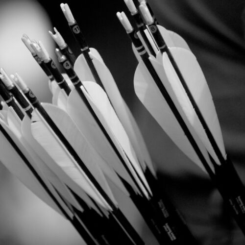 Bogenturnier in Niederhelfenschwil