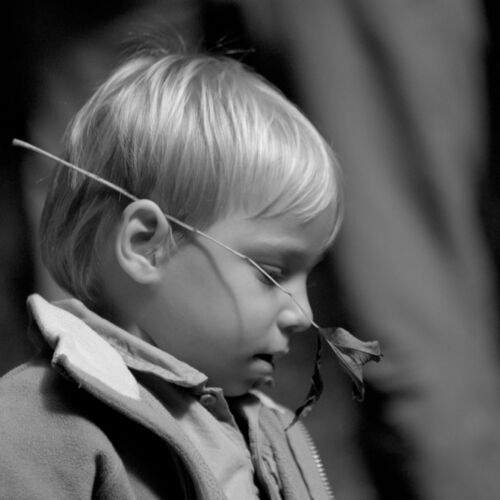 Lesewanderung 2010 der Bibliothek Sproochbrugg organisiert durch die Bibliothek.