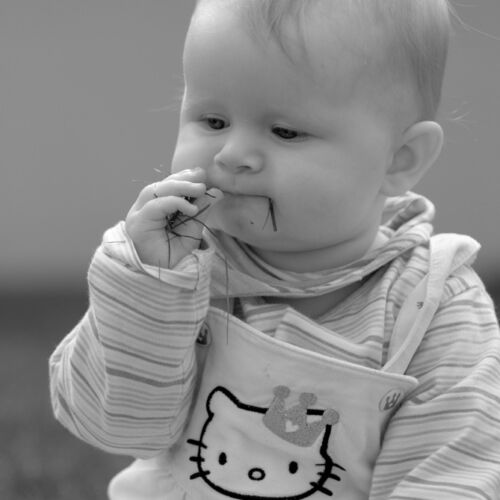 Herbsmarkt 2010 von Bea Wildhaber in Zuckenriet