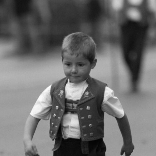 Braunviehmarkt 2010, Zuckenriet