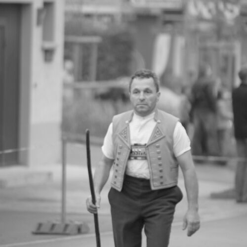 Braunviehmarkt 2010, Zuckenriet