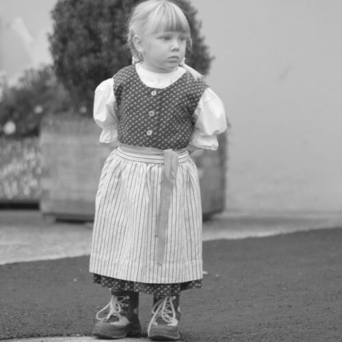 Braunviehmarkt 2010, Zuckenriet