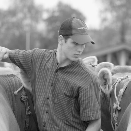 Braunviehmarkt 2010, Zuckenriet