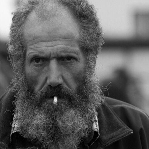 Braunviehmarkt 2010, Zuckenriet