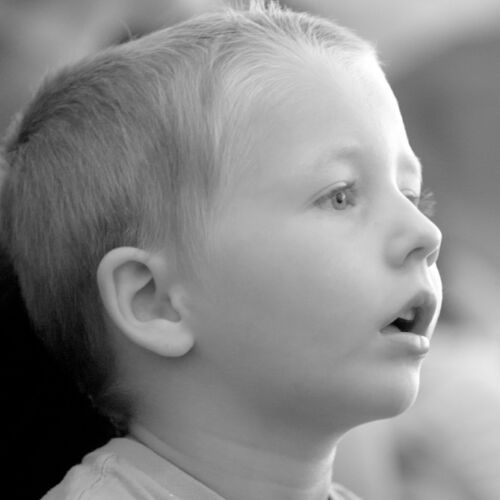 Der Lesesommer der Bibliothek Sproocchbrugg