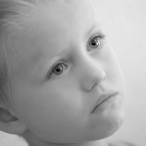 Der Lesesommer der Bibliothek Sproocchbrugg