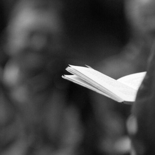 Tierische Geschichten das Thema der Lesewanderung in diesem Jahr. Wie üblich am Muttertag.