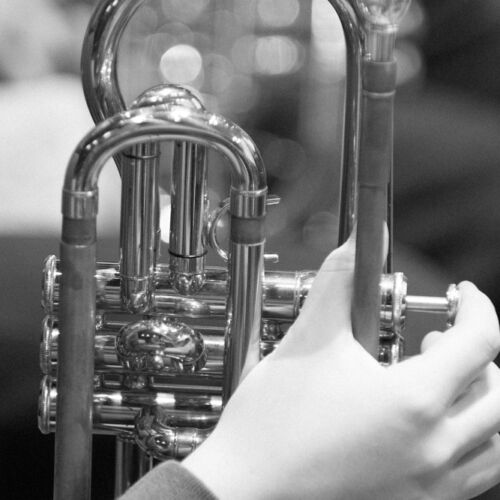 Probe des Musikvereines Niederhelfenschwil.