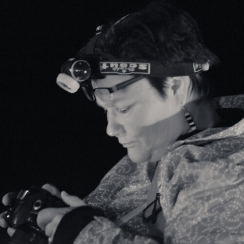 Eine Nachtwanderung war dieses Jahr die mutige Unternehmung der Bibliothek. Das Fotografieren war deshalb nicht ganz einfach.