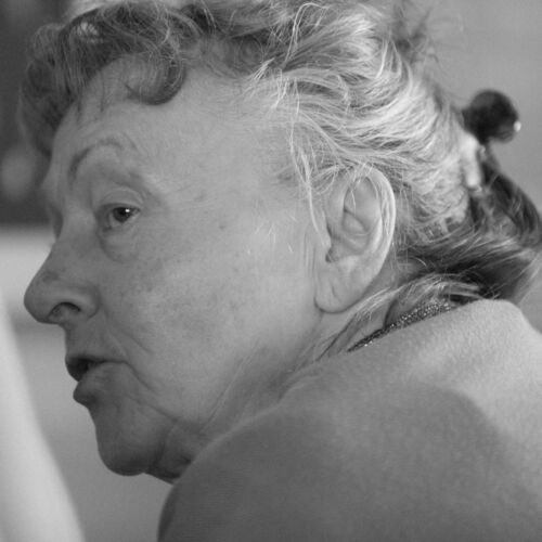 im Waldhaus von Zaun