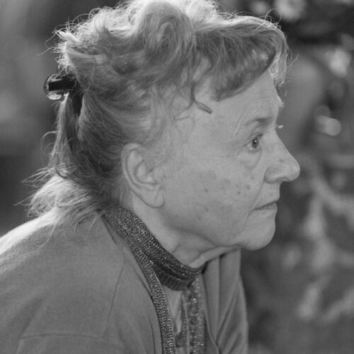 im Waldhaus von Zaun