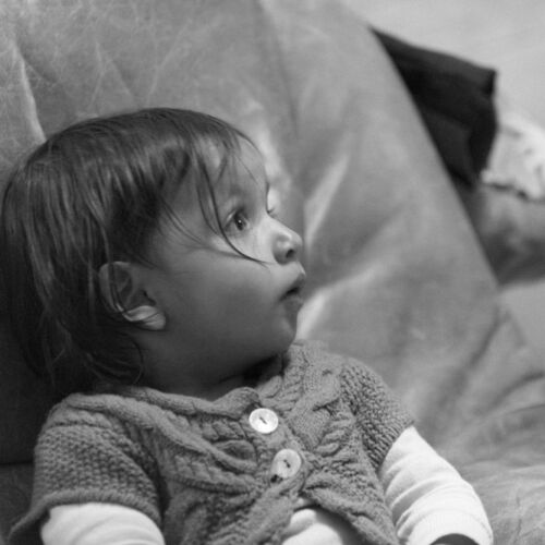 im Waldhaus von Zaun