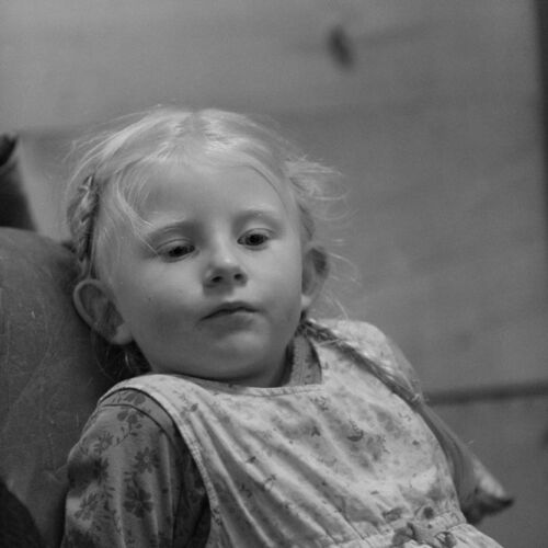 im Waldhaus von Zaun