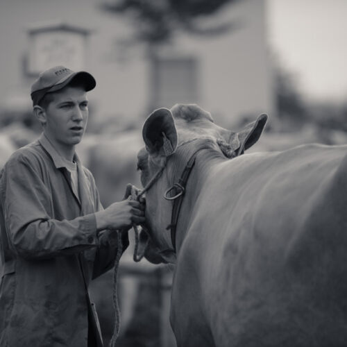 Schon mehrfach war ich an der Braunviehschau. Nicht nur die Kühe sind dort spannende Objekte.