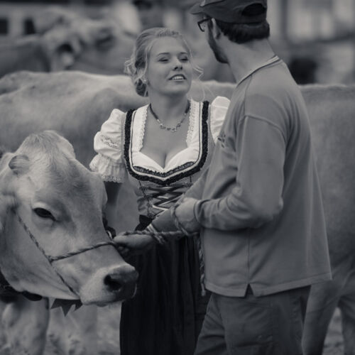 Schon mehrfach war ich an der Braunviehschau. Nicht nur die Kühe sind dort spannende Objekte.