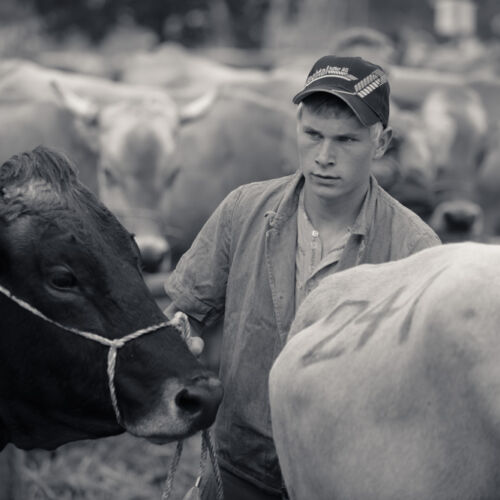 Schon mehrfach war ich an der Braunviehschau. Nicht nur die Kühe sind dort spannende Objekte.