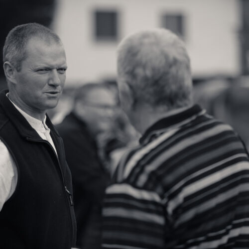 Schon mehrfach war ich an der Braunviehschau. Nicht nur die Kühe sind dort spannende Objekte.