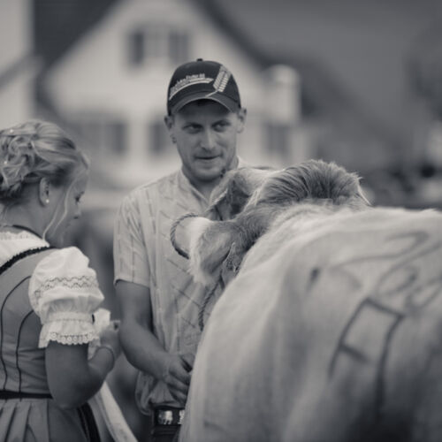Schon mehrfach war ich an der Braunviehschau. Nicht nur die Kühe sind dort spannende Objekte.