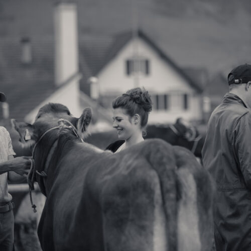 Schon mehrfach war ich an der Braunviehschau. Nicht nur die Kühe sind dort spannende Objekte.