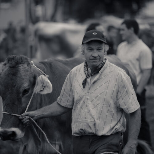 Schon mehrfach war ich an der Braunviehschau. Nicht nur die Kühe sind dort spannende Objekte.
