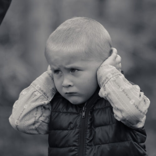 Schon mehrfach war ich an der Braunviehschau. Nicht nur die Kühe sind dort spannende Objekte.