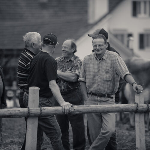 Schon mehrfach war ich an der Braunviehschau. Nicht nur die Kühe sind dort spannende Objekte.