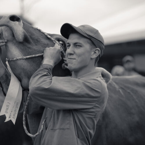 Schon mehrfach war ich an der Braunviehschau. Nicht nur die Kühe sind dort spannende Objekte.