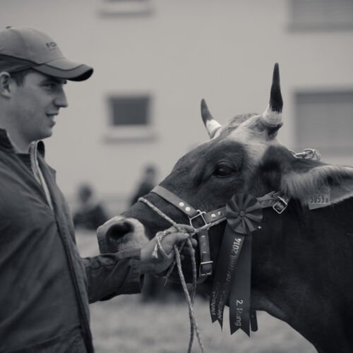 Schon mehrfach war ich an der Braunviehschau. Nicht nur die Kühe sind dort spannende Objekte.