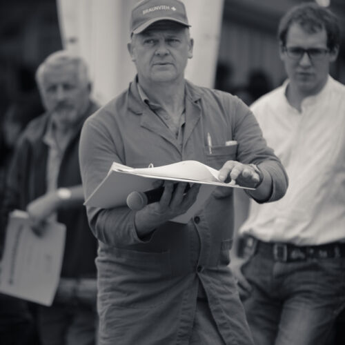 Schon mehrfach war ich an der Braunviehschau. Nicht nur die Kühe sind dort spannende Objekte.