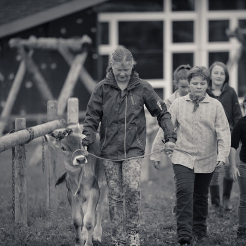 Schon mehrfach war ich an der Braunviehschau. Nicht nur die Kühe sind dort spannende Objekte.