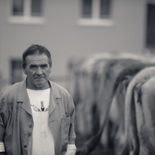 Schon mehrfach war ich an der Braunviehschau. Nicht nur die Kühe sind dort spannende Objekte.