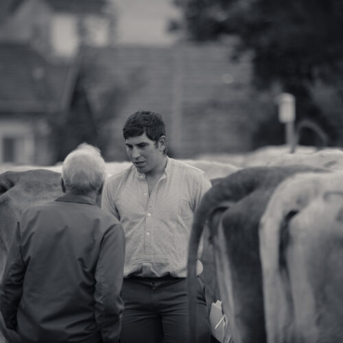 Schon mehrfach war ich an der Braunviehschau. Nicht nur die Kühe sind dort spannende Objekte.