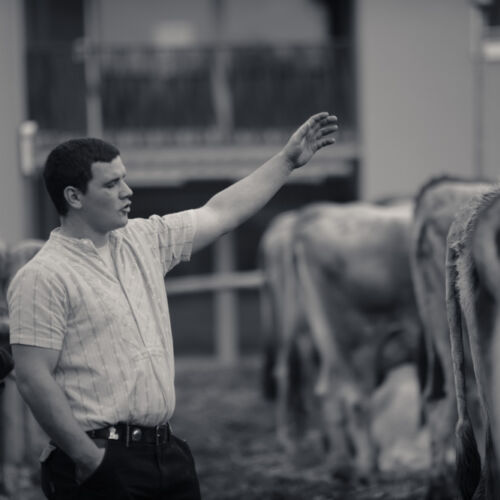 Schon mehrfach war ich an der Braunviehschau. Nicht nur die Kühe sind dort spannende Objekte.