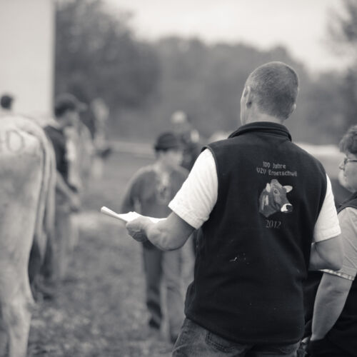 Schon mehrfach war ich an der Braunviehschau. Nicht nur die Kühe sind dort spannende Objekte.