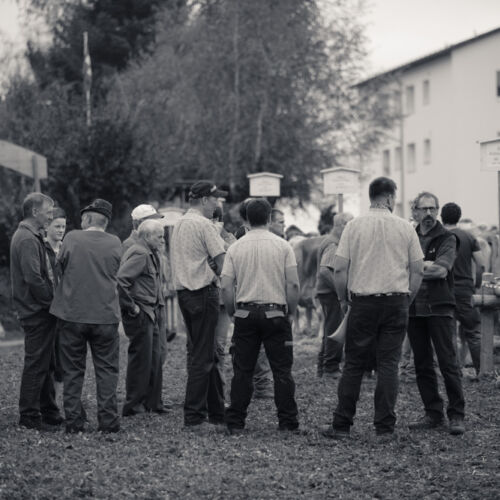 Schon mehrfach war ich an der Braunviehschau. Nicht nur die Kühe sind dort spannende Objekte.