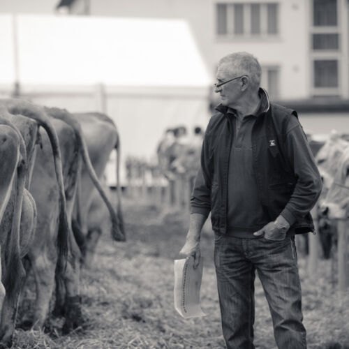 Schon mehrfach war ich an der Braunviehschau. Nicht nur die Kühe sind dort spannende Objekte.